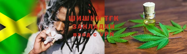 сатива Кулебаки