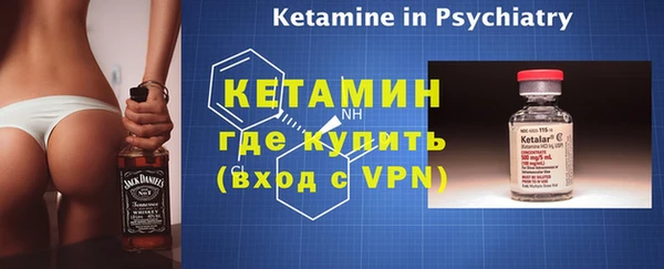 сатива Кулебаки