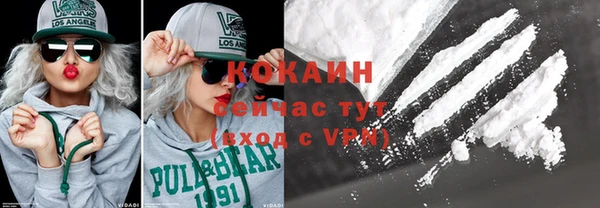 сатива Кулебаки