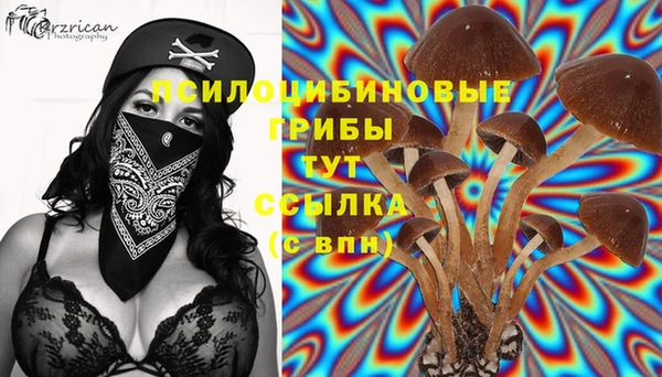PSILOCYBIN Кукмор