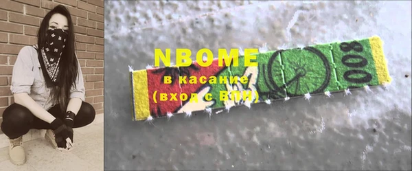 сатива Кулебаки