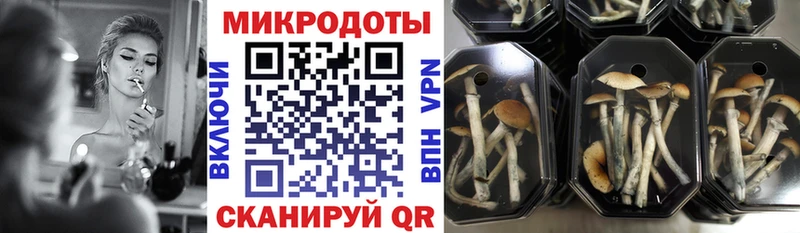 Галлюциногенные грибы ЛСД  ОМГ ОМГ зеркало  Янаул 